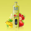 REndM Shisha 25000 Puffs (Æske Med 10 Stk)