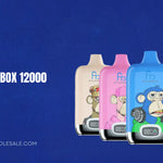 RAndM Digital Box 12000 Instruktioner