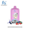 RAndM Digital Box 12000 Puffs (Box of 10) - Blueberry Cherry Cranberry